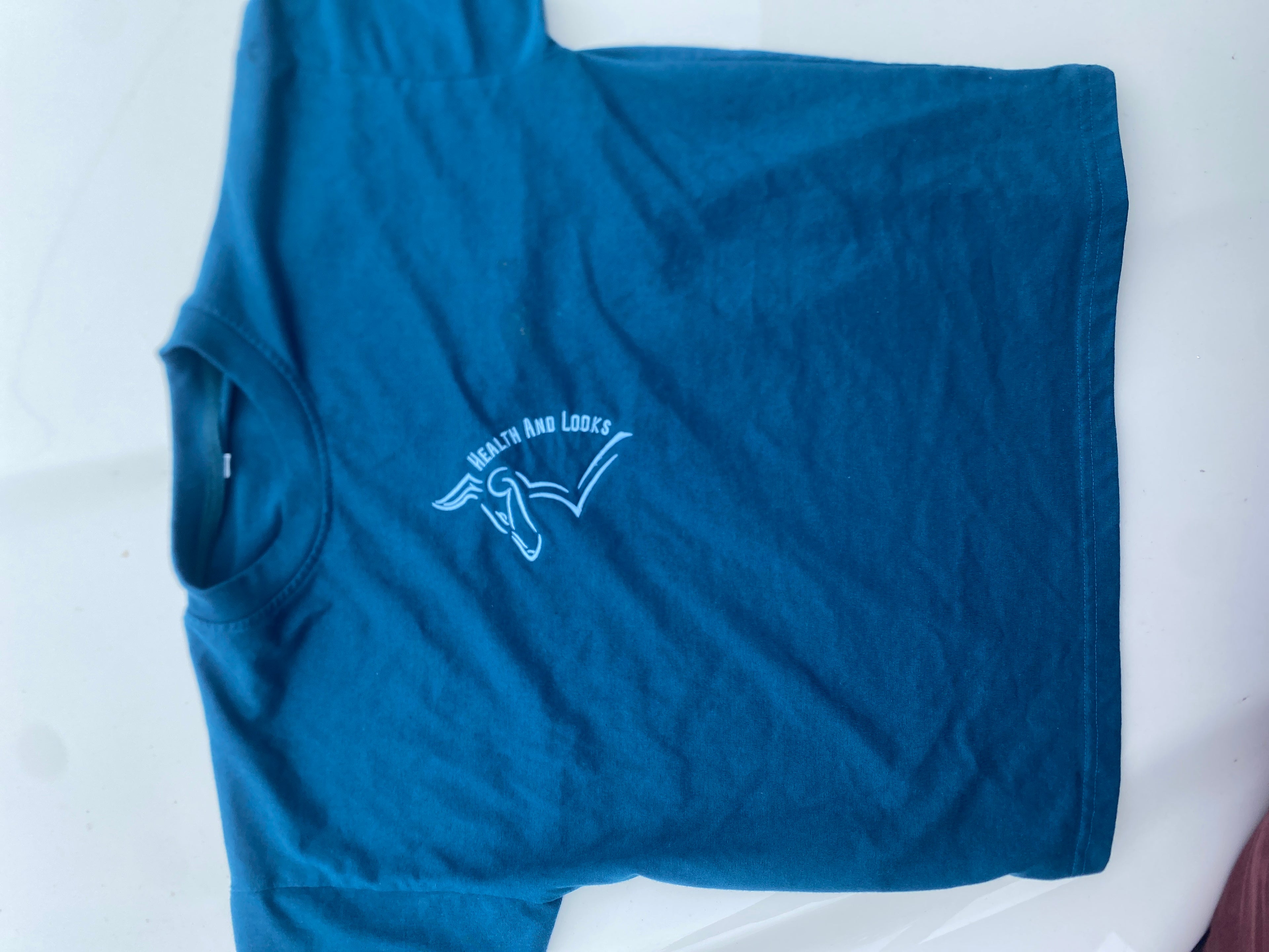 Reverse gamma bigdawg tee